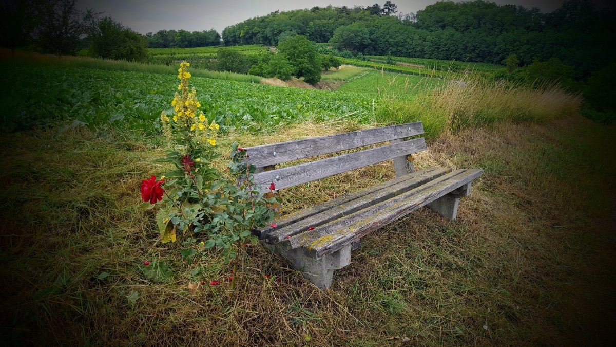 Rastplatz