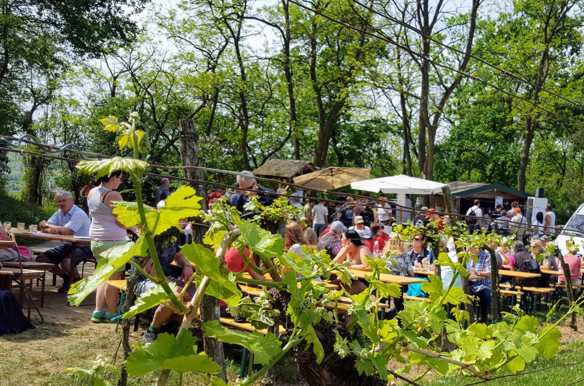 Weinwandertag
